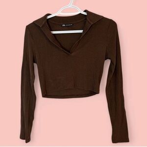 Zara Brown Collar Longsleeve Top Cropped